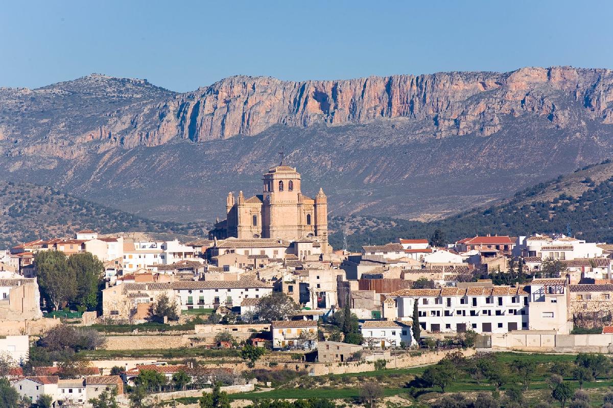 Home 8 colegiata de santa maria la mayor 252