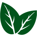 Home frusecsa verde 1024px